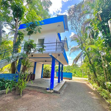 Jungle Fence Bed & Breakfast เบนโตตา ภายนอก รูปภาพ