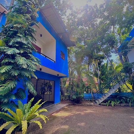 Jungle Fence Bed & Breakfast เบนโตตา ภายนอก รูปภาพ