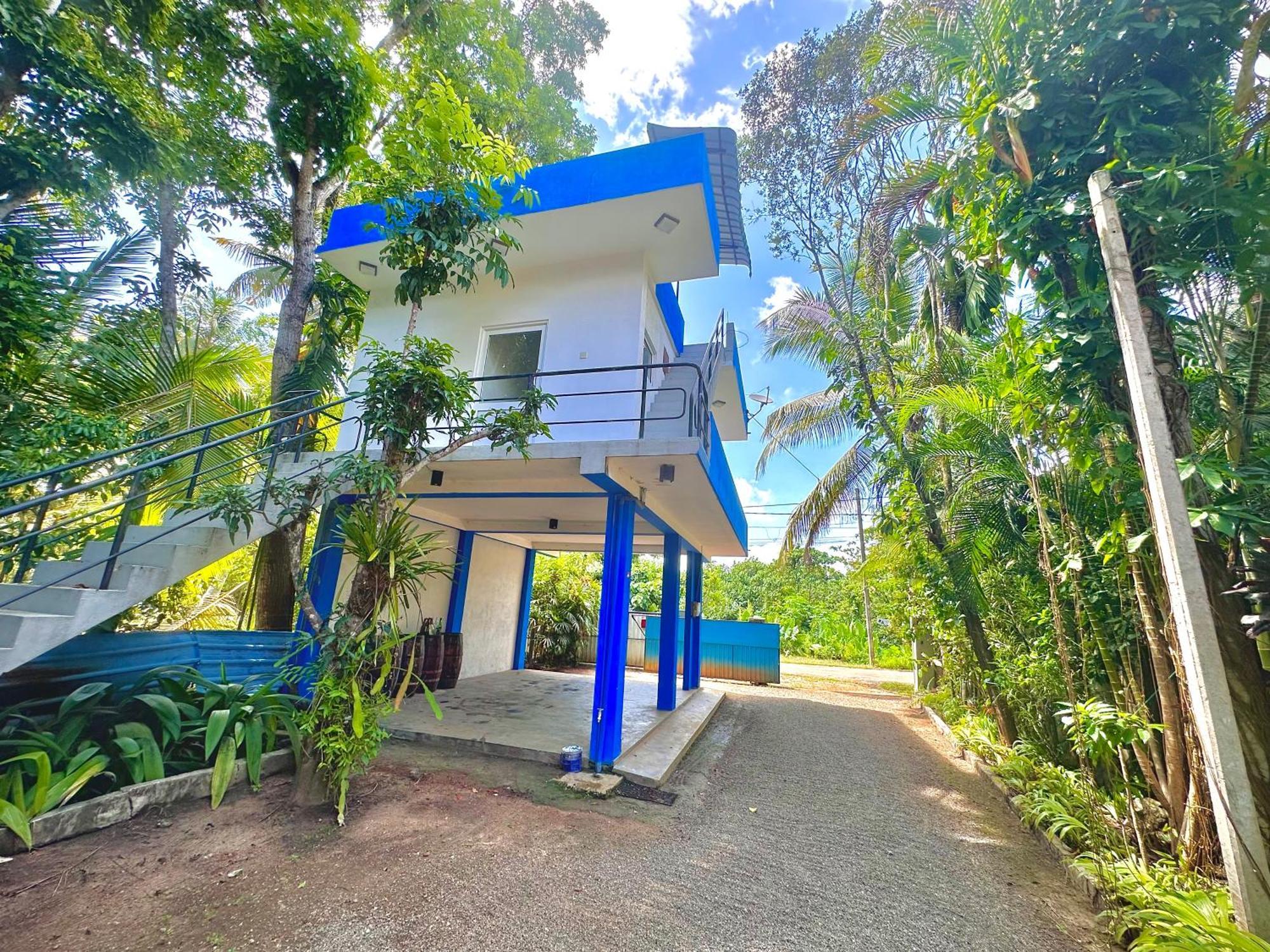 Jungle Fence Bed & Breakfast เบนโตตา ภายนอก รูปภาพ