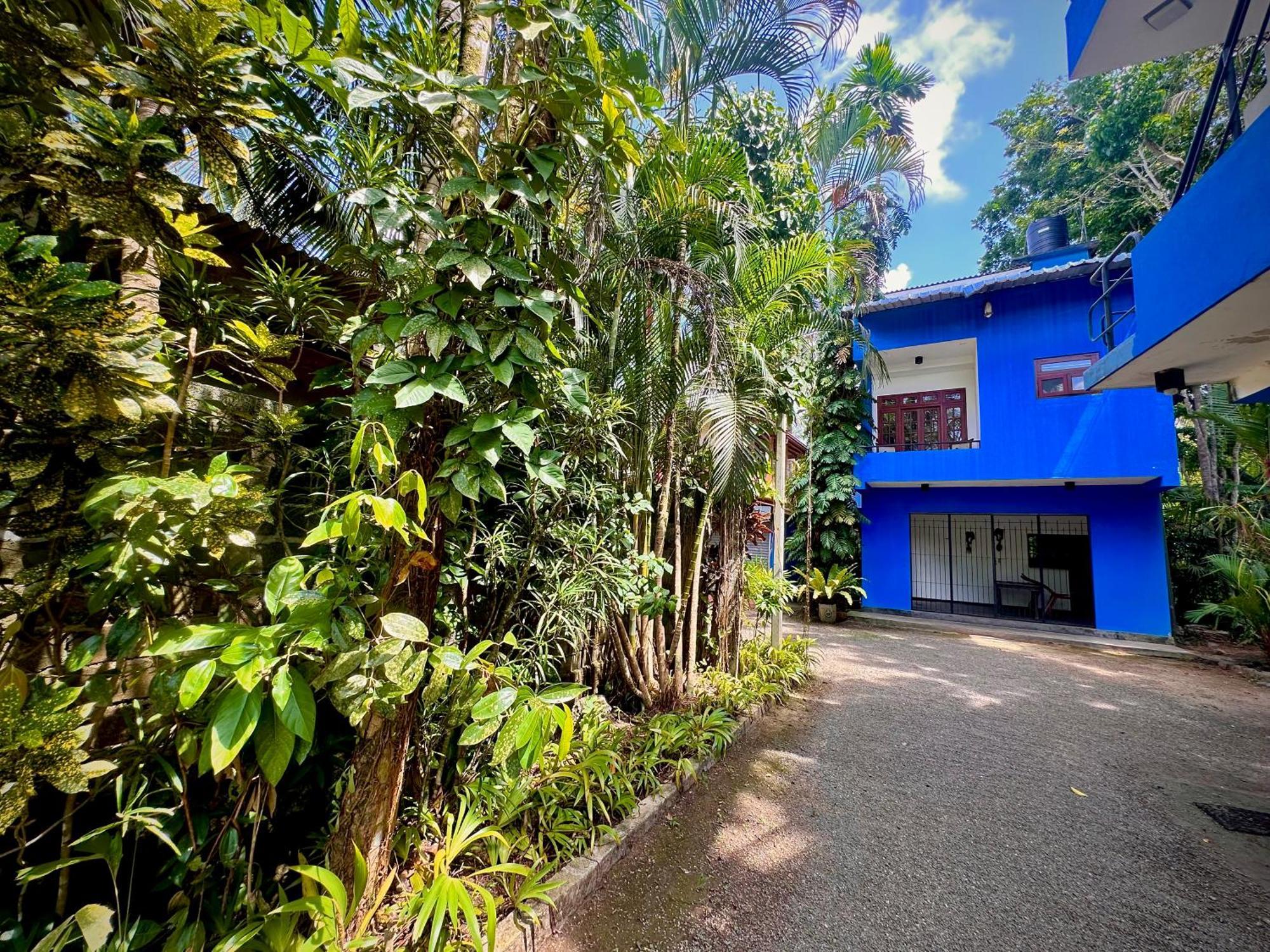 Jungle Fence Bed & Breakfast เบนโตตา ภายนอก รูปภาพ