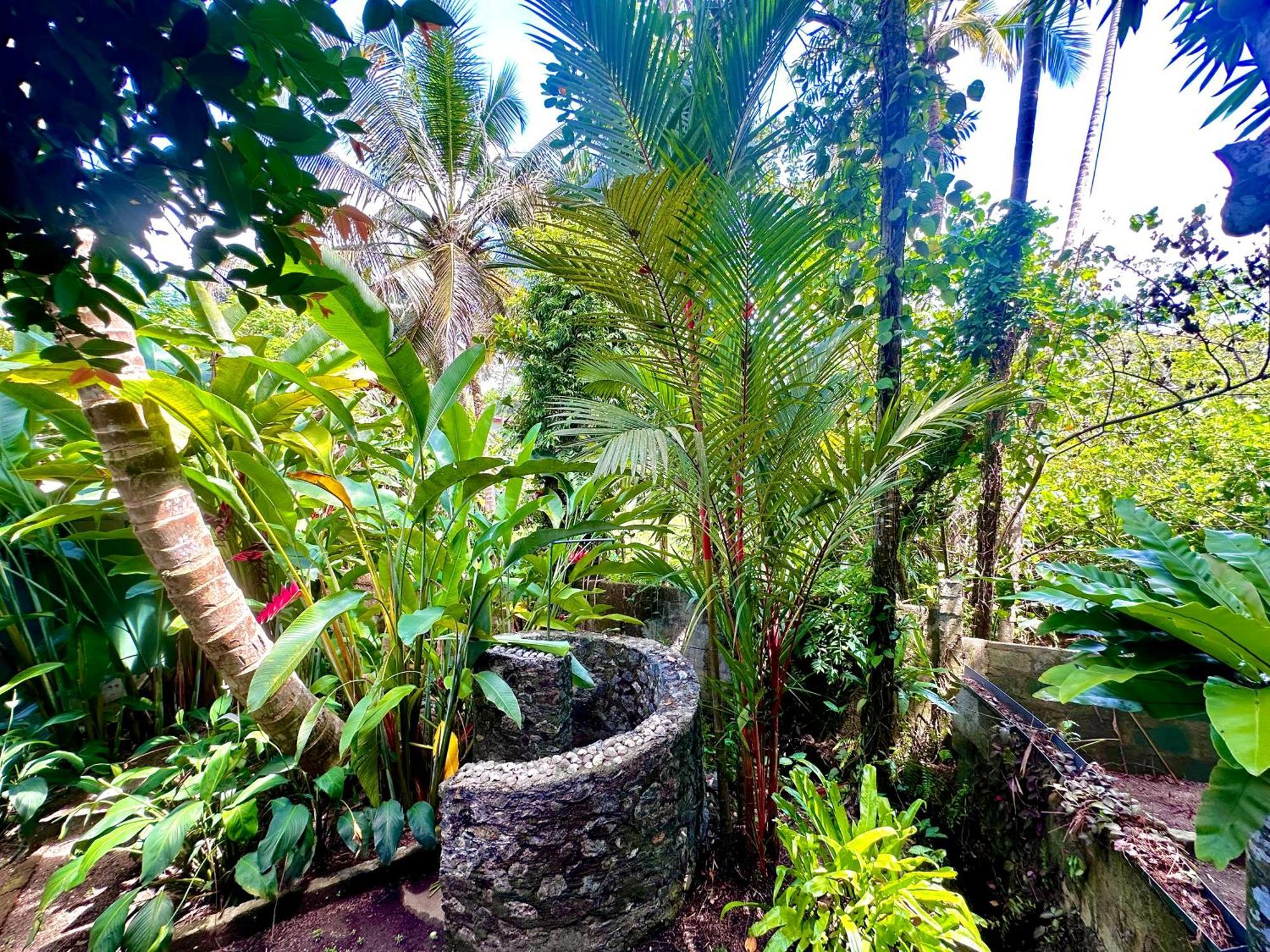 Jungle Fence Bed & Breakfast เบนโตตา ภายนอก รูปภาพ