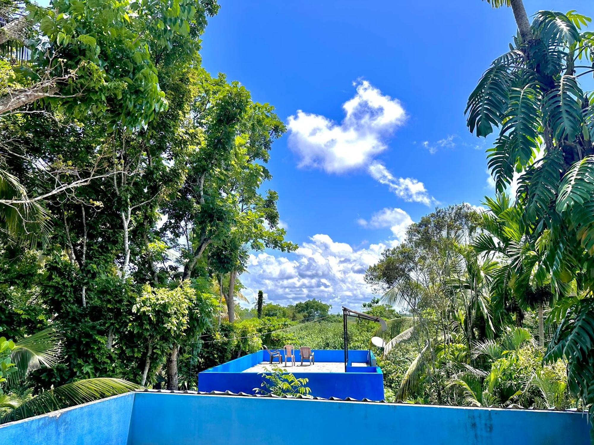 Jungle Fence Bed & Breakfast เบนโตตา ภายนอก รูปภาพ